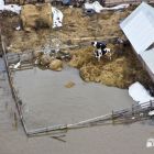 Жители районов Томской области, чьи участки затопило паводком, получат запас овощей и семена