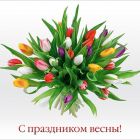 Поздравление Главы района Андрея Ащеулова и Председателя Думы Владимира Протазова с 8 марта!