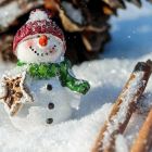 В Каргасокском сельском поселении выберут лучшую снежную фигуру