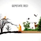 Всероссийская информационная кампания «Береги лес»