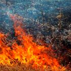 18 лесных пожаров ликвидировано в области за неделю