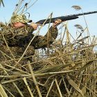 В Томской области впервые за 60 лет отменена  весенняя охота