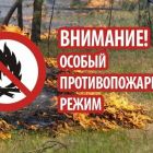 В Томской области введен особый противопожарный режим