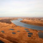 Стартовал экологический конкурс «Многоликий природный мир Большого Васюганского болота»