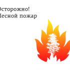 В Томской области введен особый противопожарный режим