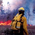 Глава региона утвердил сводный план тушения лесных пожаров в 2014 году