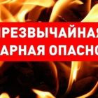 В период с 31.05.2023 по 05.06.2023 на территории Томской области сохранится чрезвычайная пожароопасность (5 класс)