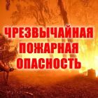 На территории Томской области сохранится чрезвычайная пожароопасность
