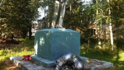 Очередной памятник Ленину поврежден в Томской области из-за селфи