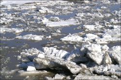 Голова ледохода на реке Обь находится в районе населенного пункта Каргасок Каргасокского района