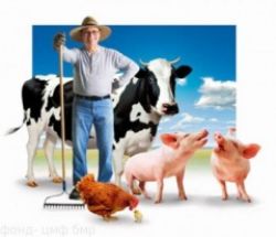 Конкурсы «Начинающий фермер» и «Семейная животноводческая ферма» стартуют 28 марта