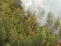 Лесопожарная обстановка на территории Каргасокского района