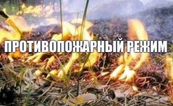 С 29 апреля на территории Каргасокского района введен особый противопожарный режим