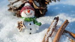 В Каргасокском сельском поселении выберут лучшую снежную фигуру