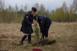 Каргасокцы приняли участие во всероссийской акции «День посадки леса»