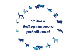 Поздравление Главы Каргасокского района с Днем ветеринарного работника