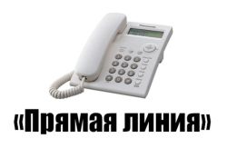 18 декабря ОПФР по Томской области проведет «горячую» телефонную линию