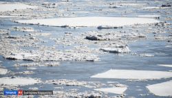 Жители Каргасокского района могут наблюдать частичные подвижки льда на Оби