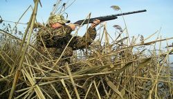 В Томской области впервые за 60 лет отменена  весенняя охота