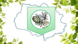 Стартует конкурс на лучший экологический герб Томской области