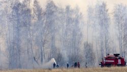 Задымление в Каргасокском районе происходит из-за пожаров в соседних регионах
