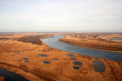 Стартовал экологический конкурс «Многоликий природный мир Большого Васюганского болота»