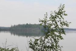 Озеро Мундштучное, расположенное в Каргасокском районе включено в список памятников природы