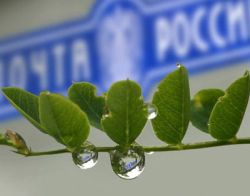 29 августа в Томске пройдет региональный этап конкурса 