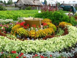 31 августа состоится выставка-ярмарка садово-огородных достижений