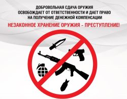 Добровольная сдача незарегистрированного оружия и боеприпасов в Томской области
